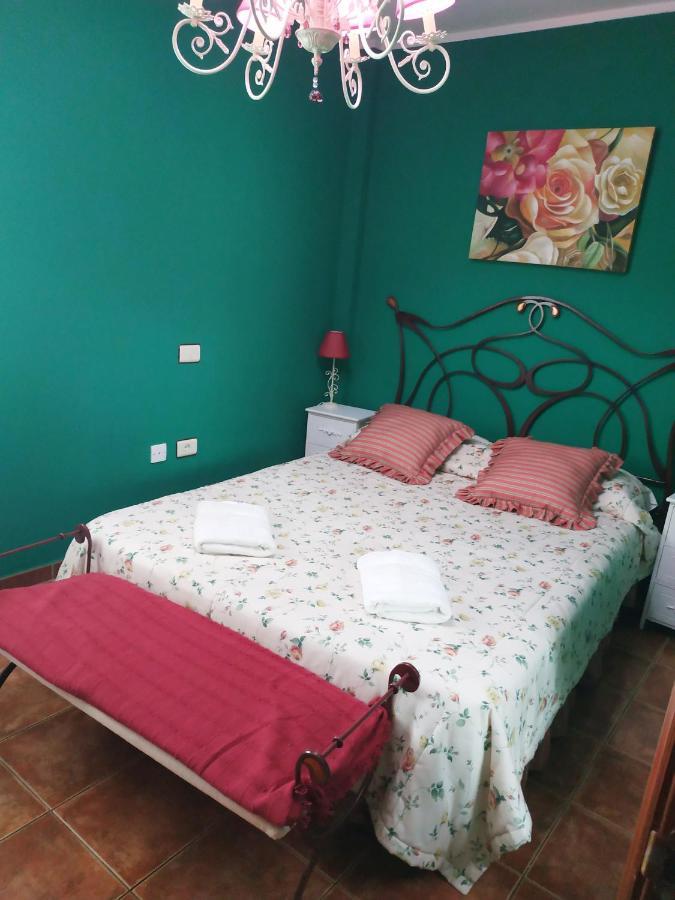 Fantastic Vista Marina Apartment El Medano  Luaran gambar